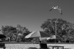 Gulfport Beach Umbrellas