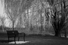 Coxhall Garden Bench