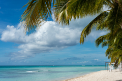 Saona Island Dominican Republic