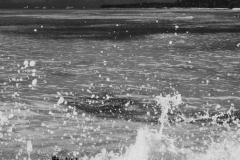 Splash Domican Republic